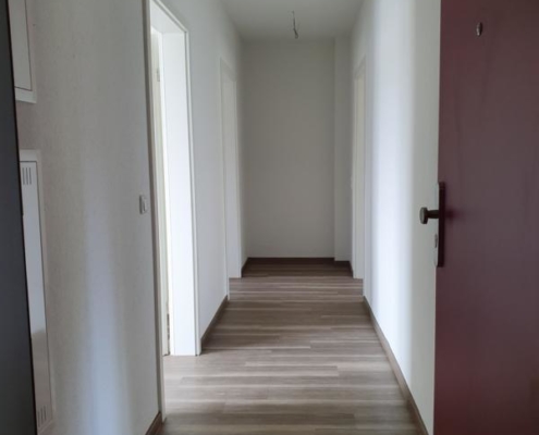 1113-001 Diele